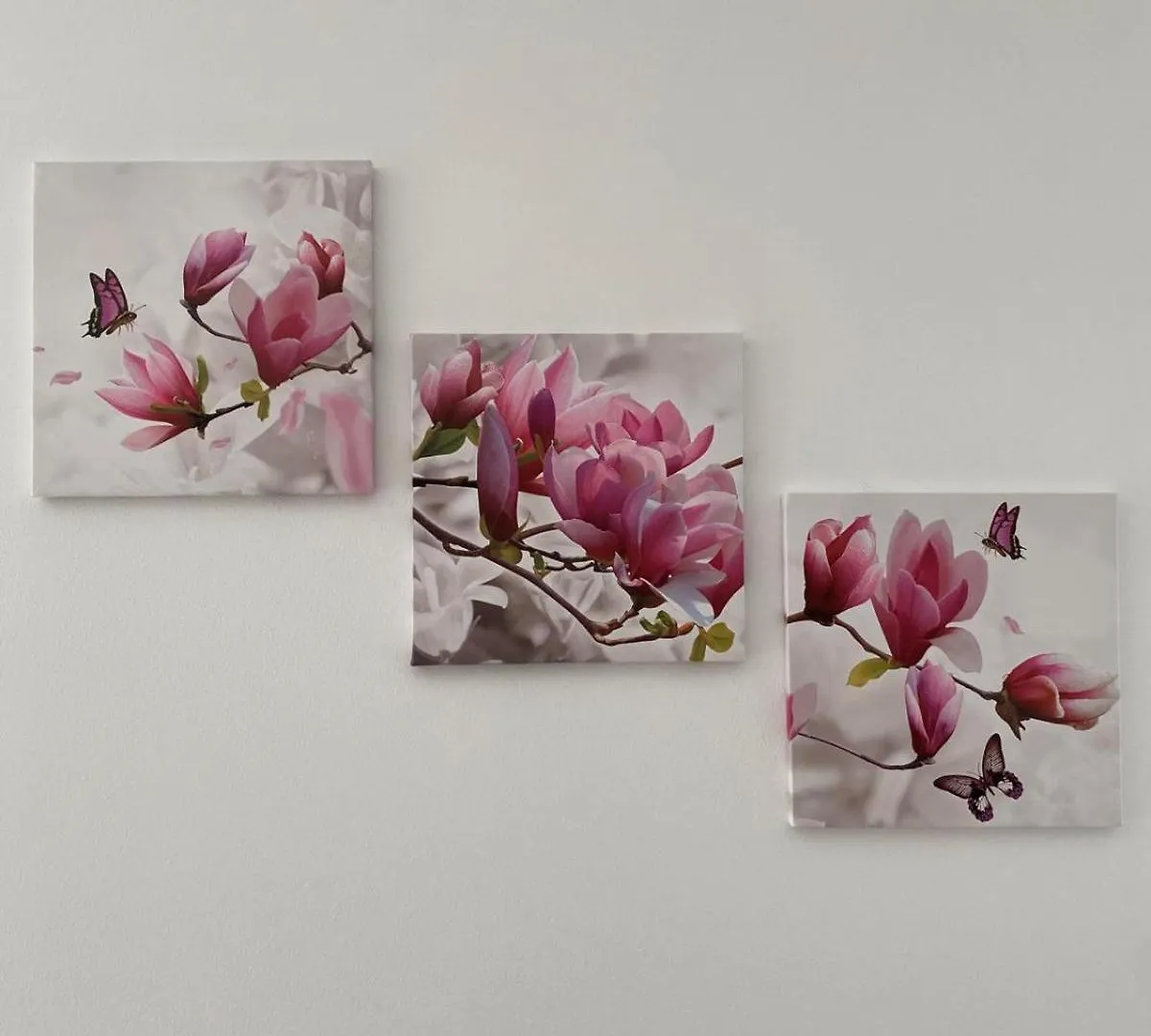 House Of Flowers Spinea Italien